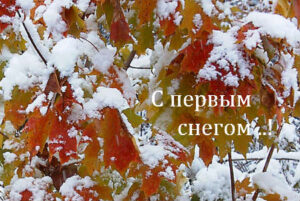 Зима50