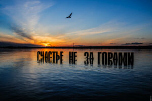 scale_1200