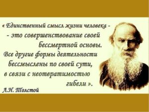 230688011_55612cff90d979e49e007a8c3614678f_800
