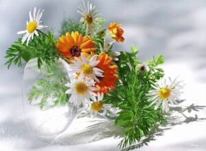 Картинки-с-днем-рождения-Манана-013