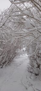 IMG_20221128_120205_429