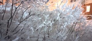 IMG_20221129_194202_964