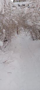 IMG_20221210_125024_228