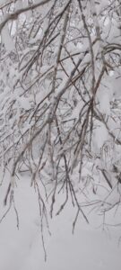 IMG_20221215_130001_650