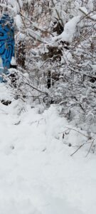 IMG_20230929_115949_123 (1)