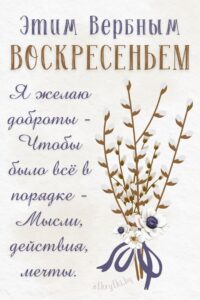 0b1e03be75f8032238f15ca76fc1567d