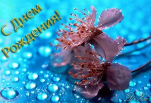 1393584105_149_FT4246_dc901ec00a90