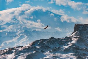 1666975260_5-poknok-art-p-polet-ptitsi-nad-gorami-foto-6