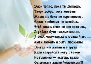 3696057_original