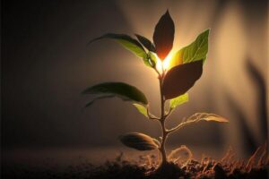 ai-generated-a-plant-shoot-reaching-towards-the-sunlight-photo