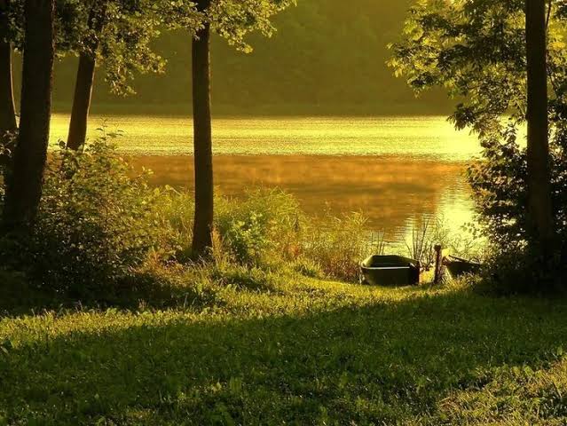 images (1)
