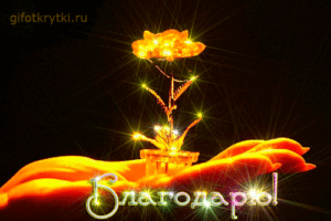 Благо-Дарю 26
