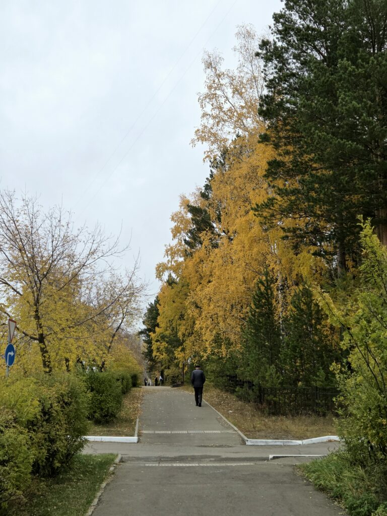 20261006_153022