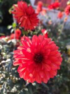 IMG_20261004_173258