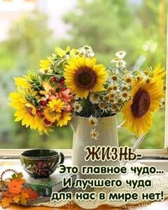 ab4ed994-fe61-4ffb-b656-4a75b3aa02a0