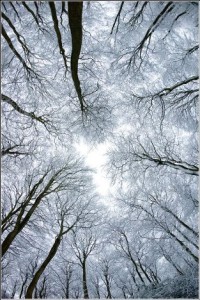 0_1f80f_9a9a1598_orig