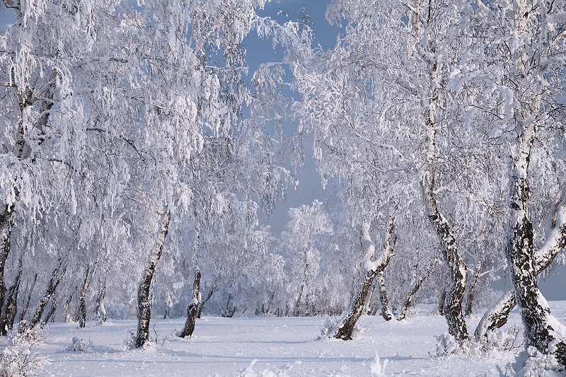 Красота 47