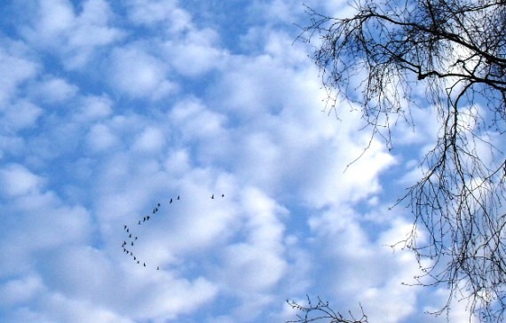 clip_image001.jpg