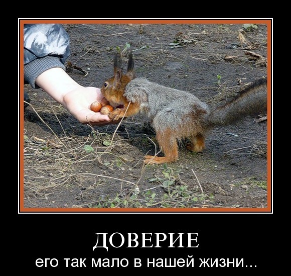 Доверие 3.