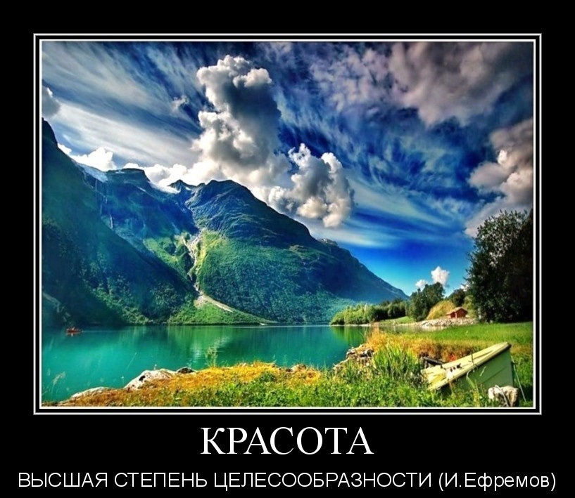 Красота 62