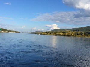 IMG_1591