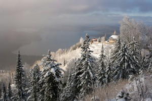 IMG_2003