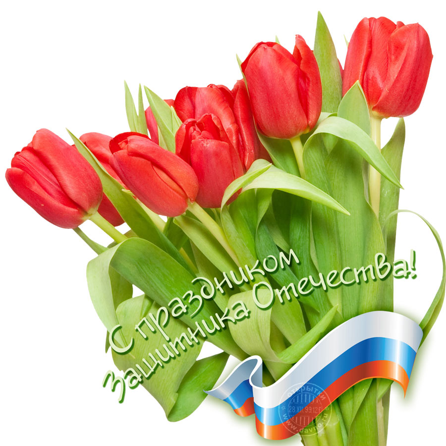 23fevralya-319