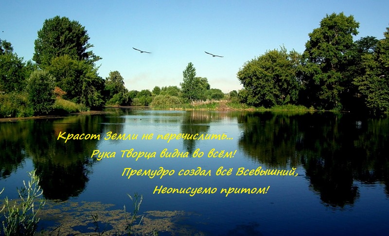 Красота 64