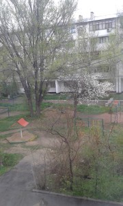 мой дворик в марте
