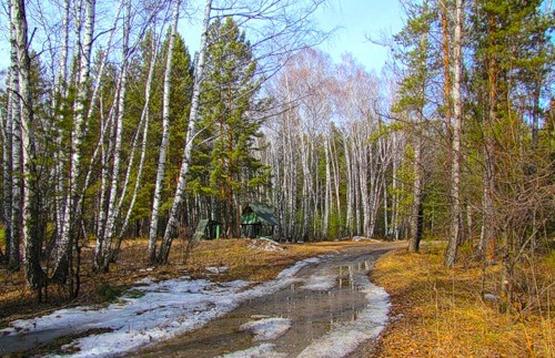 Весна 42