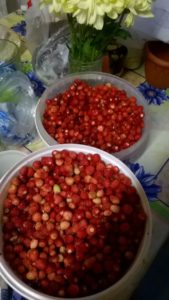 IMG-20160620-WA000