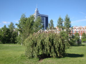 DSC06139