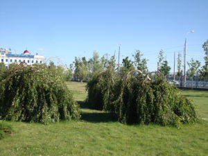 DSC06141