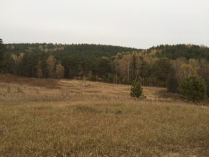 img_4238