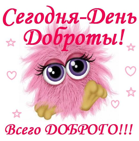 dobrota3