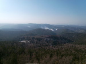 IMG_20170308_141236