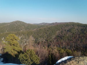 IMG_20170308_150748