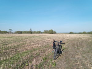 IMG_20170523_171231