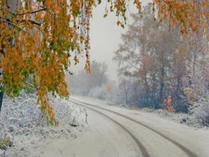 Осень 80