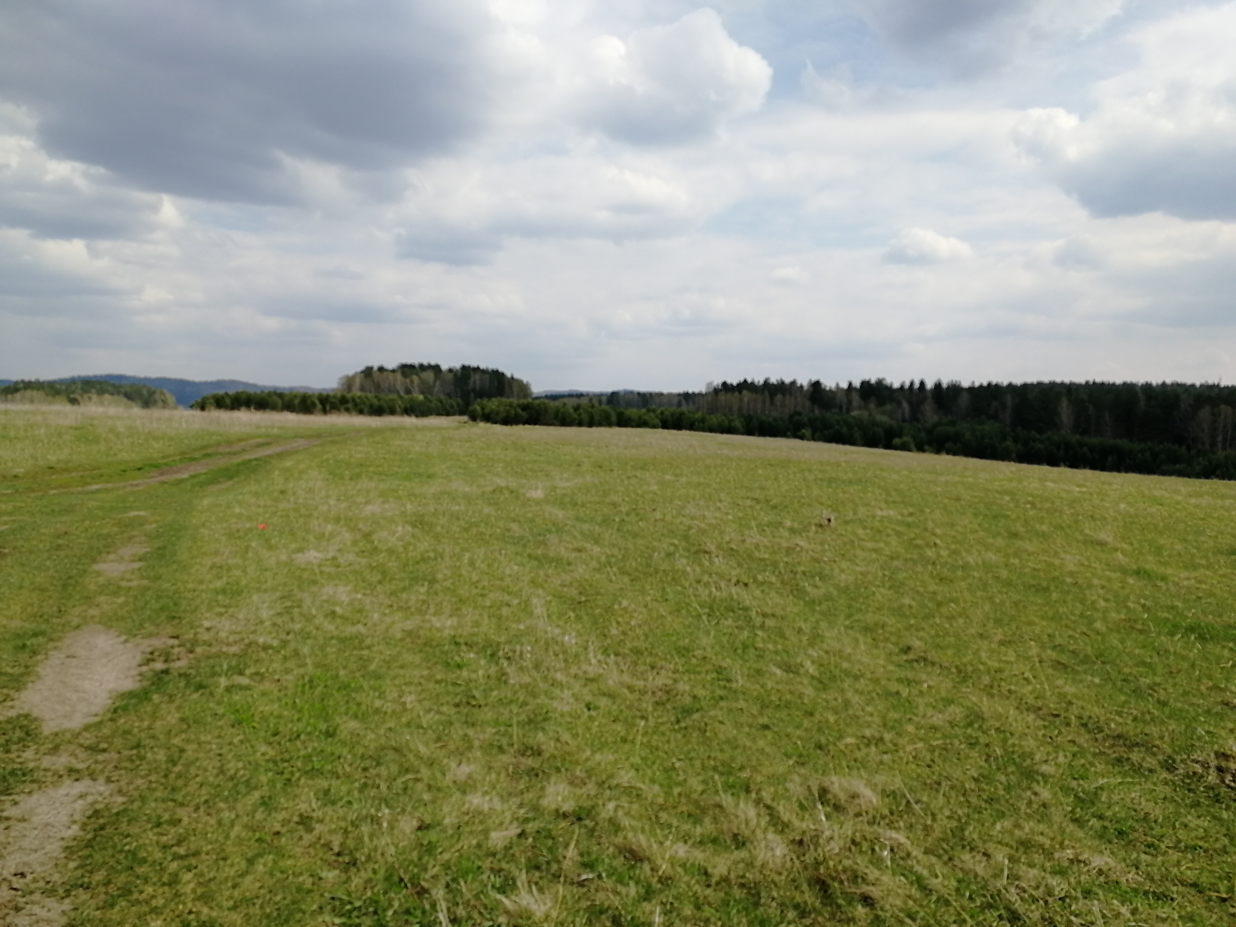 IMG_20210522_135342